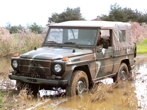 GWagen