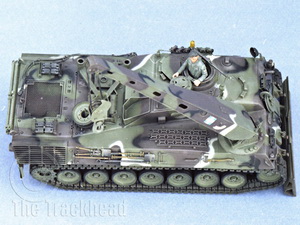 BergeLeopard